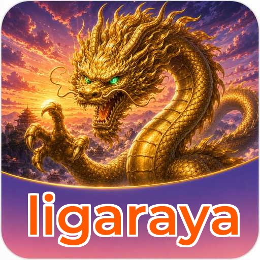 Permissions ligaraya
